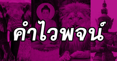 คำไวพจน์ 590 คำ พร้อมความหมาย - Tewfree