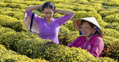 15 ตุลาคม “วันสตรีชนบทสากล” (International Day of Rural Women) - Tewfree