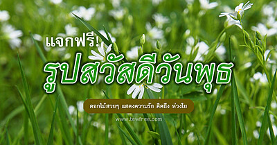 แจกฟรี! รูปสวัสดีวันพุธ ดอกไม้สวยๆ สดใส - Tewfree