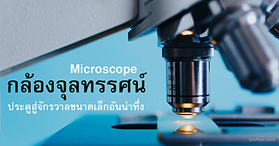 กล้องจุลทรรศน์ (Microscope) - Tewfree