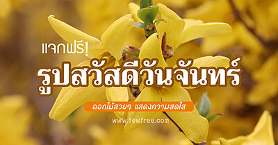 แจกฟรี! รูปสวัสดีวันจันทร์ ดอกไม้สวยๆ แสดงความสดใส - Tewfree