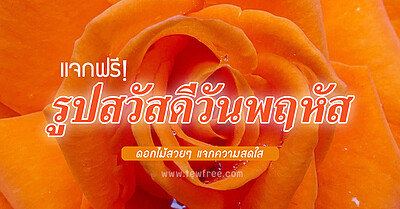 แจกฟรี! รูปสวัสดีวันพฤหัส ดอกไม้สวยๆ ไว้ส่งในกลุ่มไลน์ - Tewfree