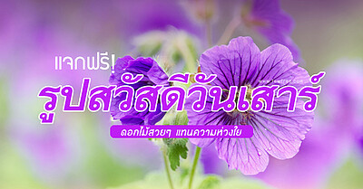 แจกฟรี! รูปสวัสดีวันเสาร์ ดอกไม้สวยๆ แทนความห่วงใย - Tewfree