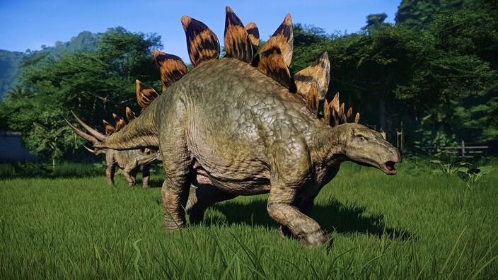 Stegosaurus