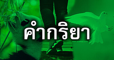 คำกริยา วิชาภาษาไทย - Tewfree