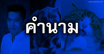 คำนาม วิชาภาษาไทย - Tewfree