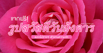 แจกฟรี! รูปสวัสดีวันอังคาร ดอกไม้สวยๆ ตัวแทนความรัก - Tewfree